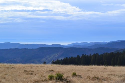 black forest feldberg view