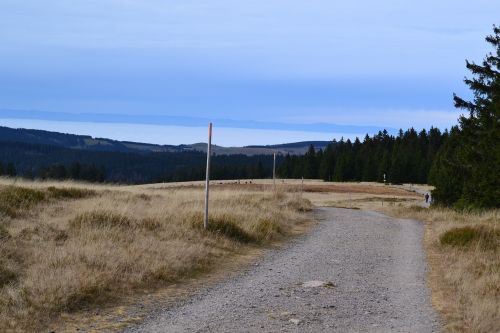 black forest feldberg mountainbiketrail