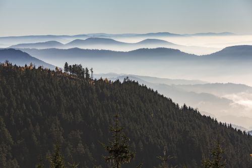black forest grinding head panorama