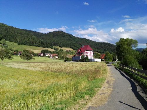 black forest gutach landscape