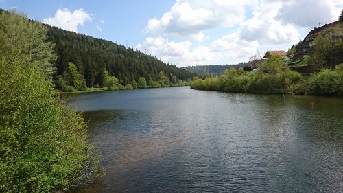 black forest  nature  lake