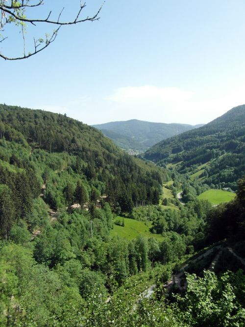 black forest valley outlook