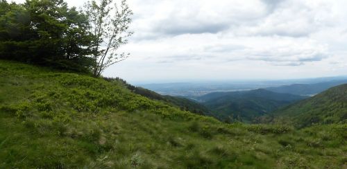 black forest hill rhine valley