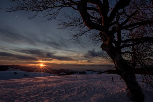 black forest  sunset  landscape