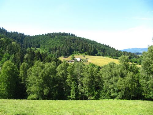 black forest green hill