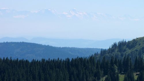 black forest feldberg alpine