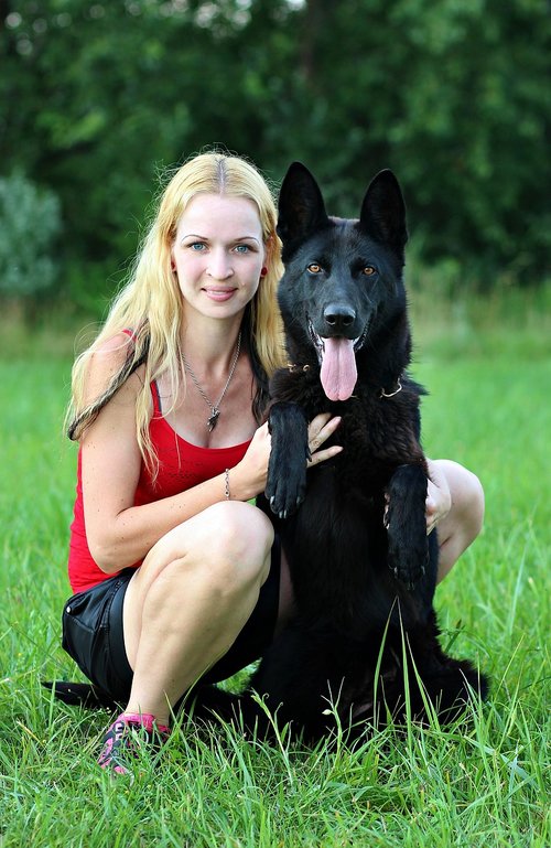 black german shepherd  dog  blonde woman