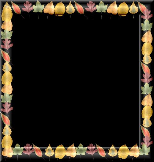 Black Glass Frame