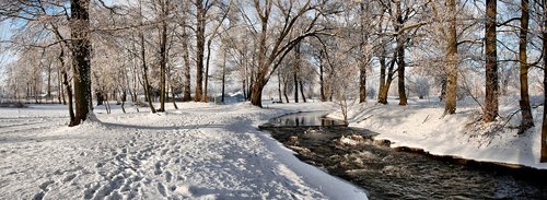 black hangcha  river  nature