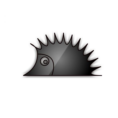 Black Hedgehog