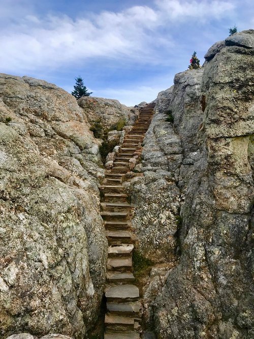 black hills national forest  black hills  south dakota