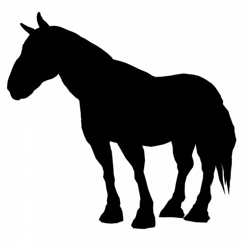 Black Horse 2