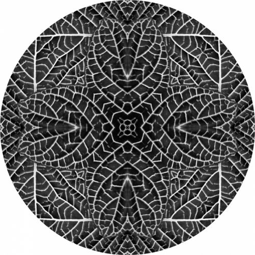 Black Kaleidoscope