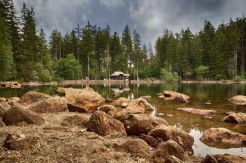 black lake lake forest