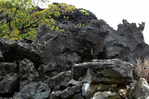 Black Rocks Formation