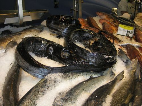 black scabbardfish madeira fish food