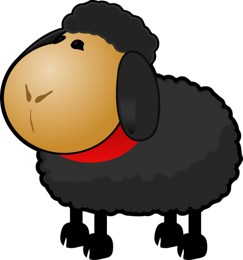 black sheep animal black