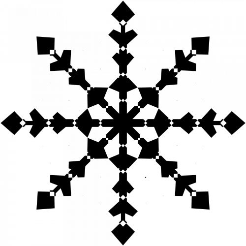 Black Snowflake 5