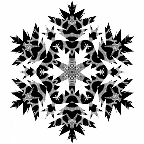 Black Snowflake 99