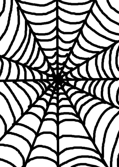 Black Spider Web