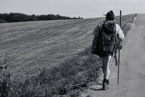 black white summer walking