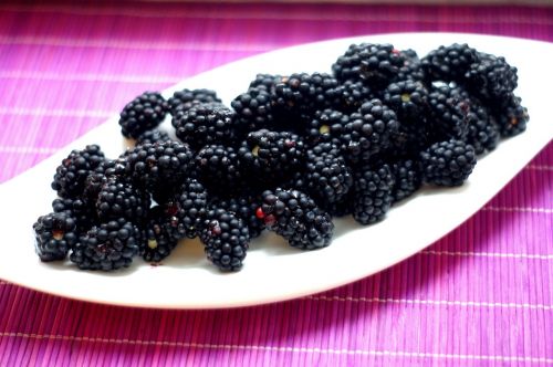 blackberries wild berries berry