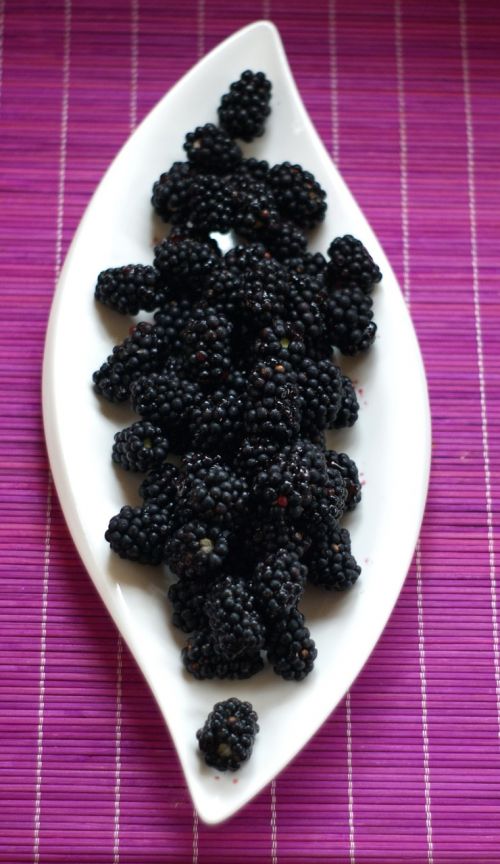 blackberries wild berries berry