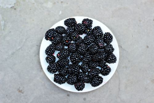 blackberries fruits food