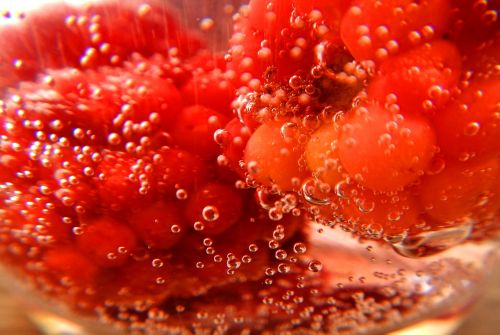 blackberries raspberries soda