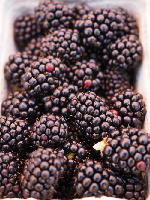 blackberries berries fruits