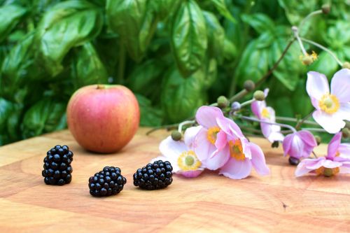 blackberry autumn black berries