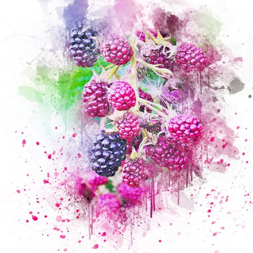 blackberry fruit art