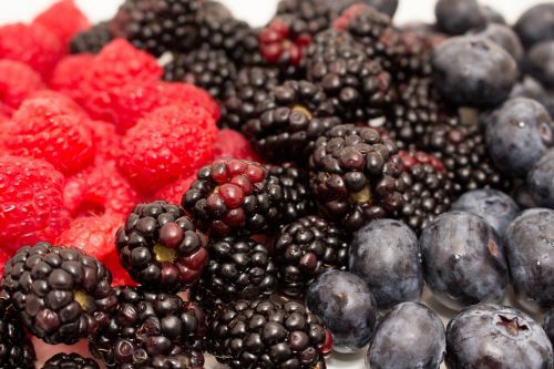 blackberry fruit food