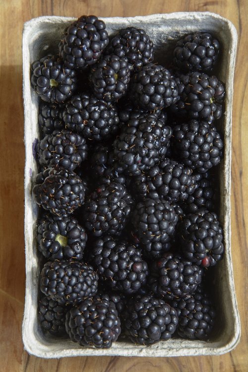 blackberry  berry  fruit