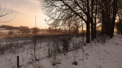 blerick aan de maas winter landscape evening sun