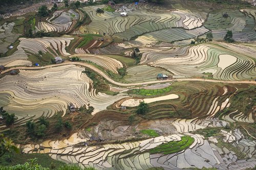 blind stretch comb  lao cai  water