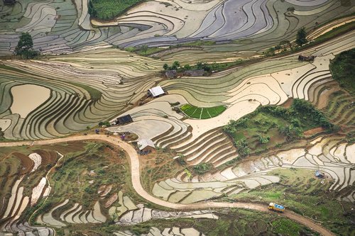 blind stretch comb  lao cai  water