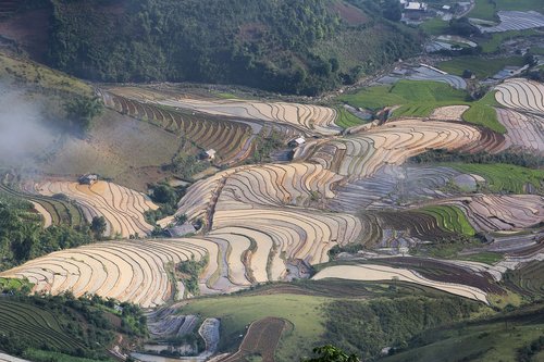 blind stretch comb  lao cai  water