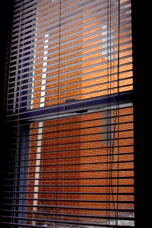 blinds window home
