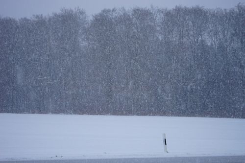 blizzard winter storm snowflakes