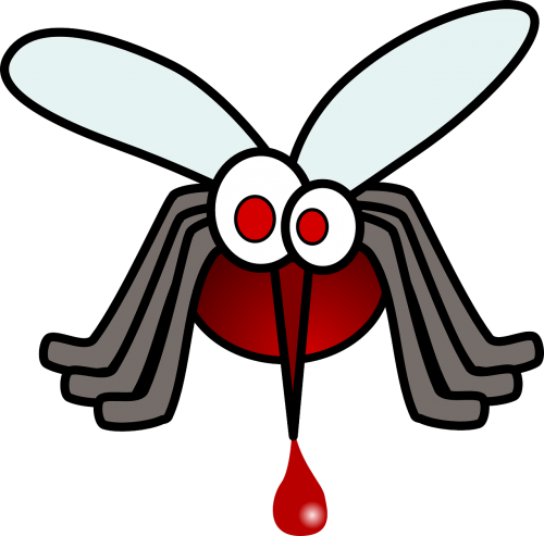 blood mosquito animal