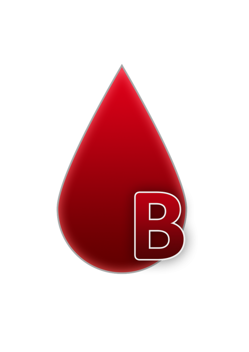 blood group b blood