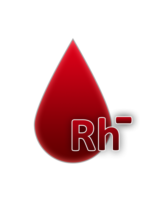 blood group rh factor negative blood