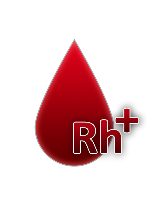 blood group rh factor positive blood