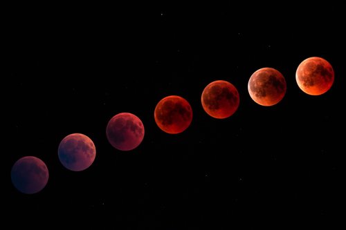 blood moon  moon  night