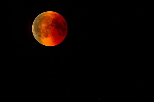 blood moon  moon  lunar eclipse