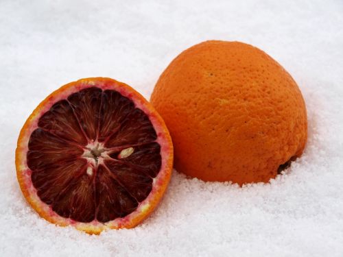 blood orange citrus fruit orange