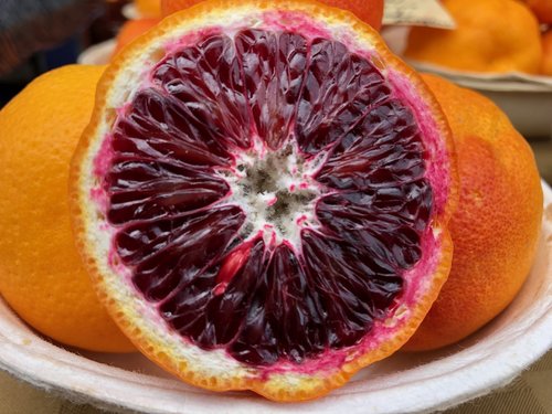 blood orange  fruit  oranges