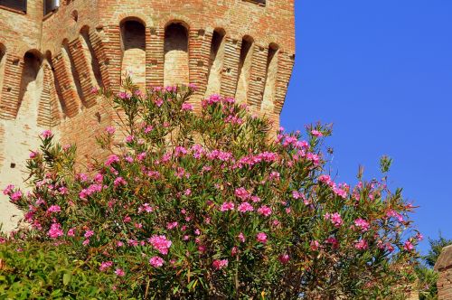 bloom torre castle