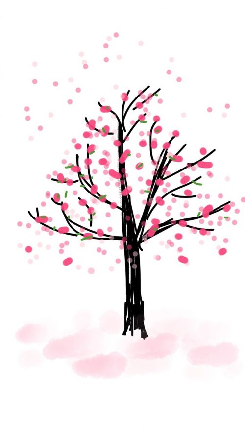 blossom tree spring